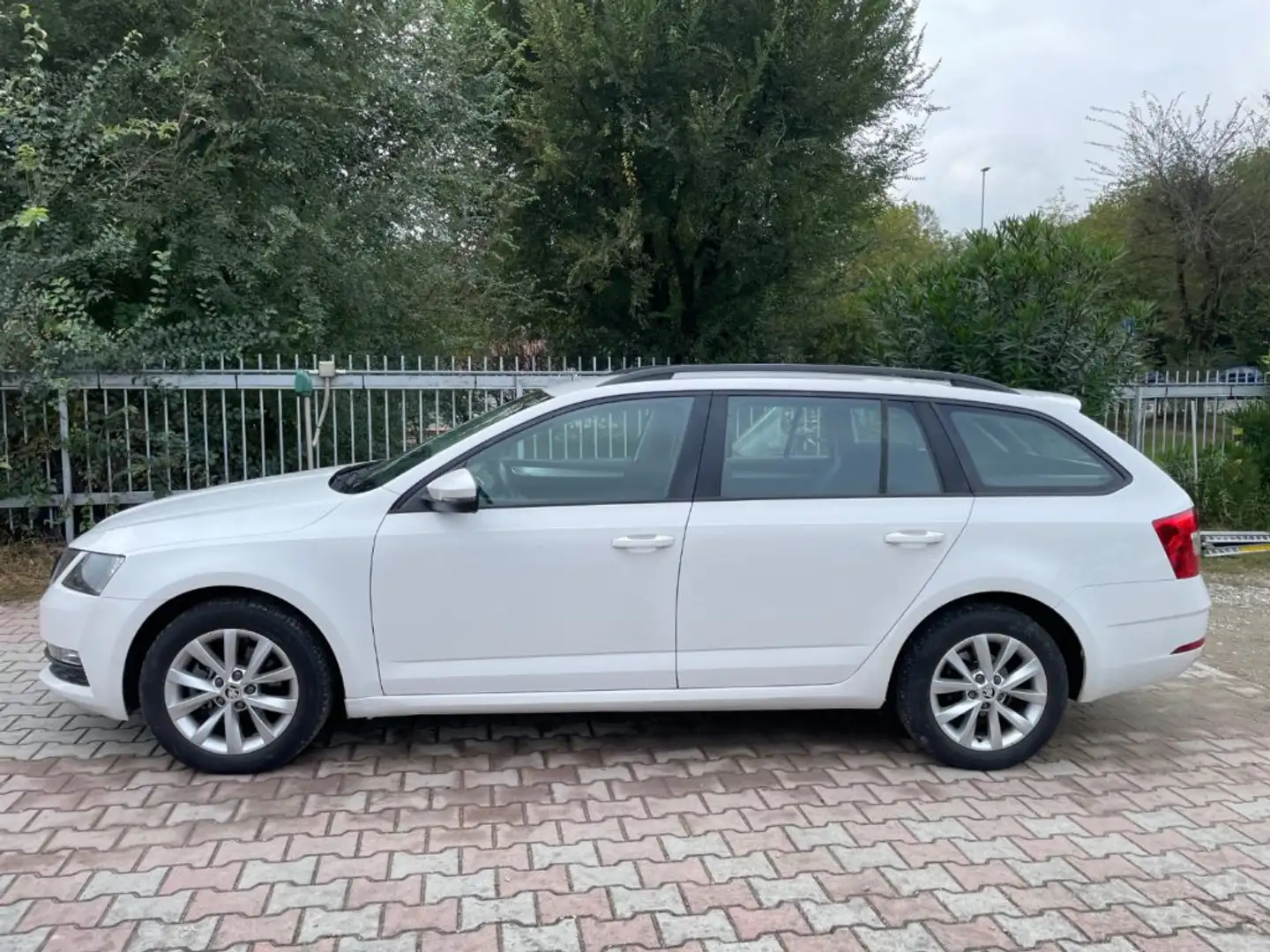 Skoda Octavia 2.0 TDI CR Wagon Executive Bianco - 2