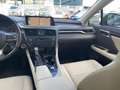 Lexus RX 450h Luxury Marrón - thumbnail 20