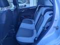 Fiat Punto Evo Punto Evo 5p 1.3 mjt Uniproprietario gomme invern Grigio - thumbnail 8