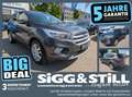 Ford Kuga 1.5 Trend PARK-ASSIST*SHZ*LHZ*PDC*KLIMA*LM17 Gris - thumbnail 1