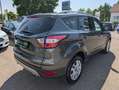 Ford Kuga 1.5 Trend PARK-ASSIST*SHZ*LHZ*PDC*KLIMA*LM17 Gris - thumbnail 5