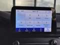 Ford Focus 1.5 EcoBoost ST Line Business | 182 PK! | Winter P Bleu - thumbnail 19