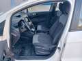 Ford EcoSport Trend Klima* PDC* Blanc - thumbnail 13