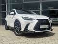 Lexus NX 350h Executive Line Weiß - thumbnail 3