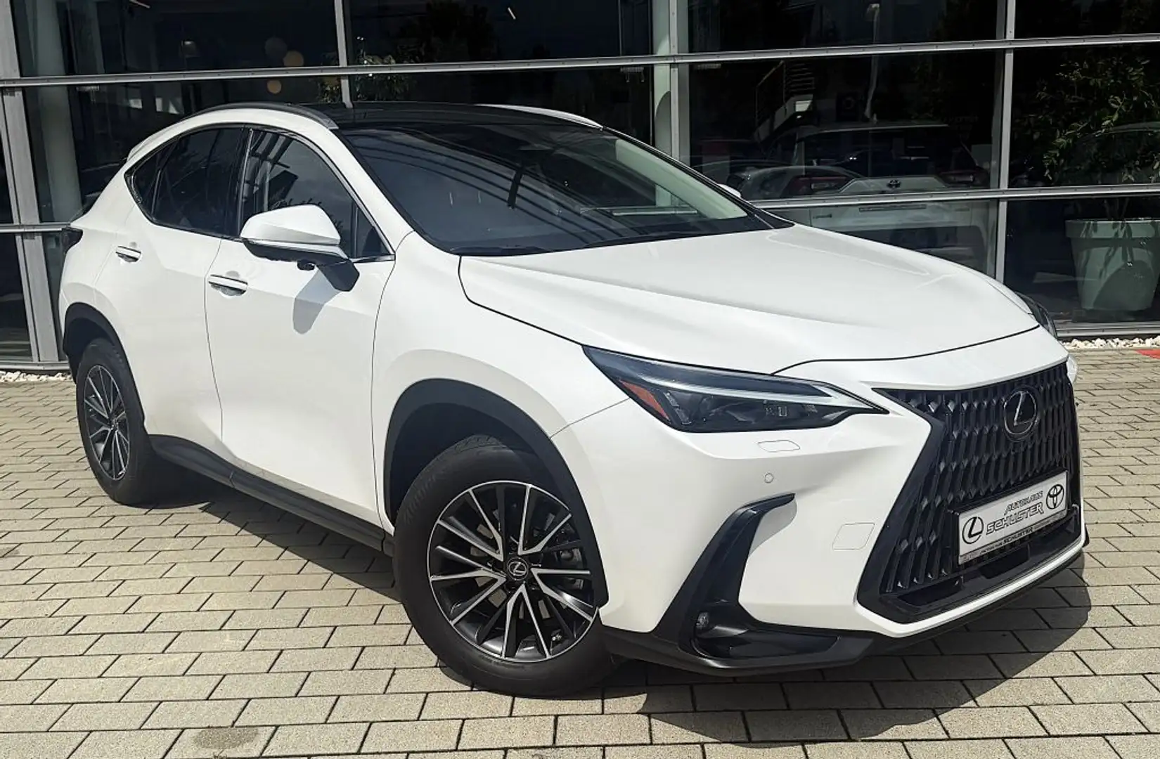 Lexus NX 350h Executive Line Wit - 1