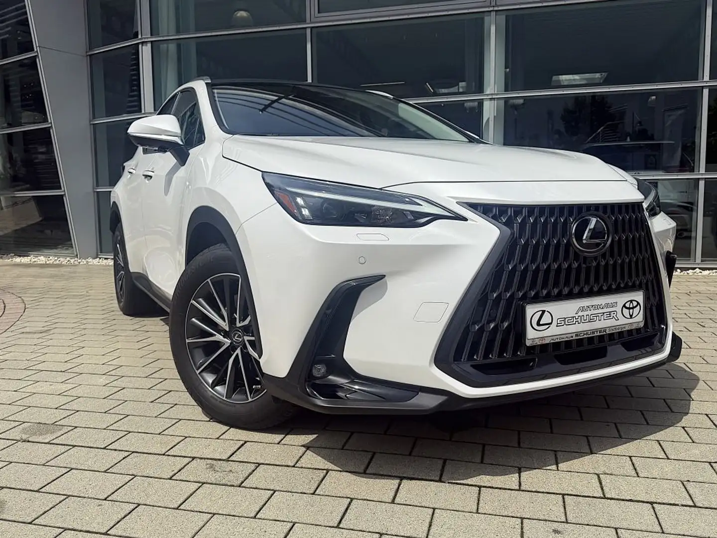 Lexus NX 350h Executive Line Blanc - 2