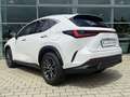 Lexus NX 350h Executive Line Blanc - thumbnail 9