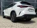 Lexus NX 350h Executive Line Weiß - thumbnail 10