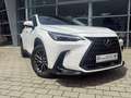 Lexus NX 350h Executive Line Weiß - thumbnail 2