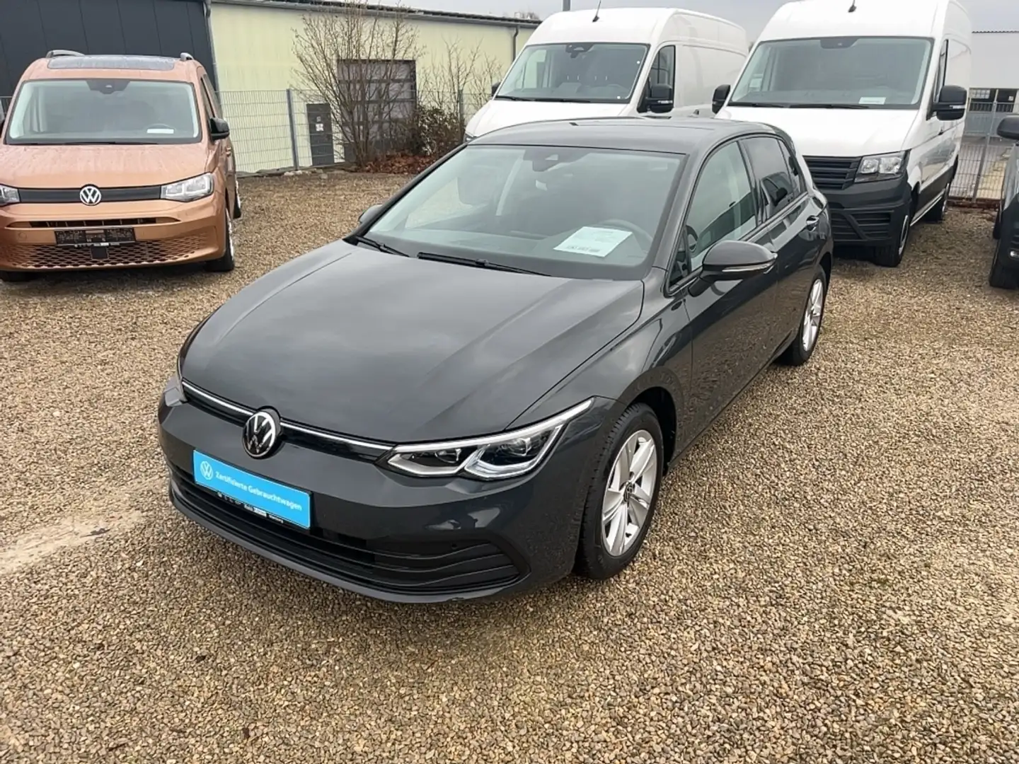 Volkswagen Golf Life Aktionspreis! Gültig nur bis zum 28 Juni! Grau - 2