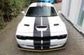 Dodge Challenger 6.4 V8 ScatPack Widebody /Alpine Weiß - thumbnail 3