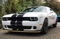 Dodge Challenger 6.4 V8 ScatPack Widebody /Alpine Weiß - thumbnail 4