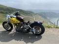Harley-Davidson Custom Bike - thumbnail 1