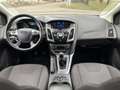 Ford Focus 1.0 EcoBoost Edition |CRUISE|CLIMA|ISOFIX|STOEL VW Blu/Azzurro - thumbnail 4