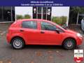 Fiat Punto PUNTO 1.2 69 CH - EASY Rood - thumbnail 4