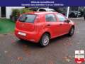 Fiat Punto PUNTO 1.2 69 CH - EASY Rouge - thumbnail 5