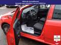 Fiat Punto PUNTO 1.2 69 CH - EASY Rouge - thumbnail 17