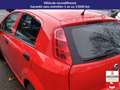 Fiat Punto PUNTO 1.2 69 CH - EASY Rood - thumbnail 10
