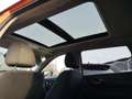 Nissan X-Trail N-Connecta 2,0l dCi 177PS Aut. ALL-MODE 4x4i Orange - thumbnail 16