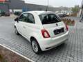 Fiat 500 500 1.0 Hybrid Dolcevita - CarPlay PDC PanoDak Blanc - thumbnail 7