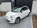 Fiat 500 500 1.0 Hybrid Dolcevita - CarPlay PDC PanoDak Blanc - thumbnail 2