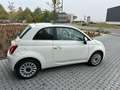 Fiat 500 500 1.0 Hybrid Dolcevita - CarPlay PDC PanoDak Blanc - thumbnail 4