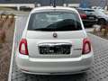 Fiat 500 500 1.0 Hybrid Dolcevita - CarPlay PDC PanoDak Blanc - thumbnail 5