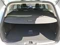 Ford Focus Traveller 1,5 EcoBlue Cool + Connect DAB Weiß - thumbnail 12