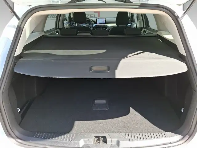 Ford Focus view 12