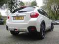 Subaru XV 1.6i 114pk AWD Luxury | Trekhaak | 1.500 KG trekge Blanc - thumbnail 2