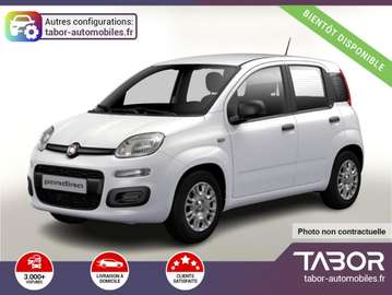 ICON 5PL PDC 52-DAB DigC LaneA Reg