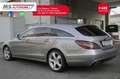 Mercedes-Benz CLS 250 CLS 250 CDI SW BlueEFFICIENCY Unicoproprietario Grijs - thumbnail 15