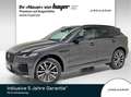Jaguar F-Pace D300 AWD R-Dynamic SE AHK Pano 90TH ANNIVERSARY ED Grau - thumbnail 1