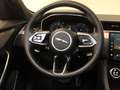 Jaguar F-Pace D300 AWD R-Dynamic SE AHK Pano 90TH ANNIVERSARY ED Grau - thumbnail 20
