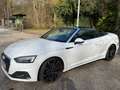 Audi A5 A5 Cabrio 35 TFSI S-tronic Weiß - thumbnail 1
