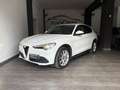 Alfa Romeo Stelvio Stelvio 2.2 Super rwd 190cv auto Bianco - thumbnail 1