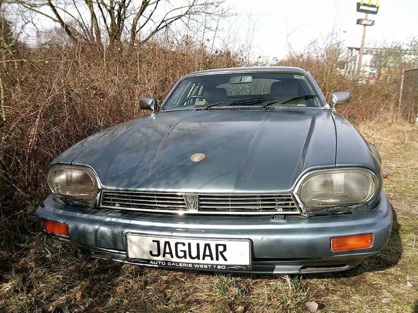 Jaguar XJS - 2
