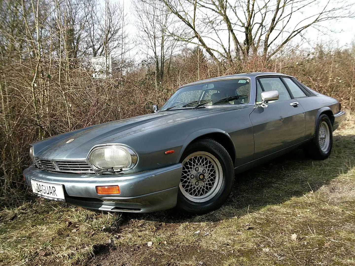 Jaguar XJS - 1