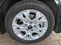 Kia Ceed SW / cee'd SW Sportswagon Comfort 1.5 DCTSitz + Lenkradheizun... Noir - thumbnail 5