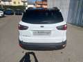 Ford EcoSport 1.0 ecoboost Active s&s 125cv Blanc - thumbnail 2