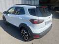 Ford EcoSport 1.0 ecoboost Active s&s 125cv Blanc - thumbnail 3