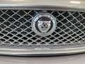 Jaguar X-Type X-Type 2.2d Premium Luxury Gris - thumbnail 18