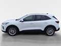 Ford Kuga 1,5 EcoBoost Titanium Weiß - thumbnail 2