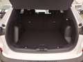 Ford Kuga 1,5 EcoBoost Titanium Weiß - thumbnail 16