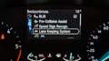Ford Focus Focus Break 1.5d ACTIVE - NAVI / TREKHAAK / CAMERA Gris - thumbnail 10