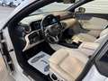Mercedes-Benz CLA 200 CLA 200 d 4Matic (118.313) Weiß - thumbnail 12