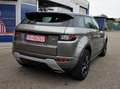 Land Rover Range Rover Evoque TD4 Aut. SE Dynamic/LEDER/NAVI/PANO/NAVI/WINTERPAK Grau - thumbnail 10