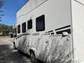 Caravans-Wohnm Fiat DUCATI XGO 95 PLUS DYNAMICS - thumbnail 5