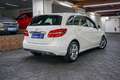 Mercedes-Benz B 180 BlueEFFICIENCY Urban Automatik 1.Hand LED Blanc - thumbnail 15