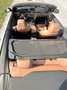 BMW 420 420d Cabrio Österreich-Paket Österreich-Paket Beige - thumbnail 6